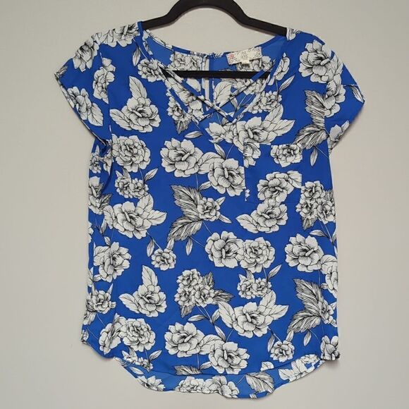 Pink Rose Blue V Neck Blouse - Picture 1 of 7